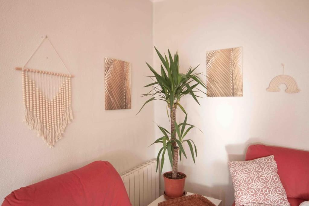 Lc Apartaments Av Del Mar Castellón de la Plana Eksteriør billede